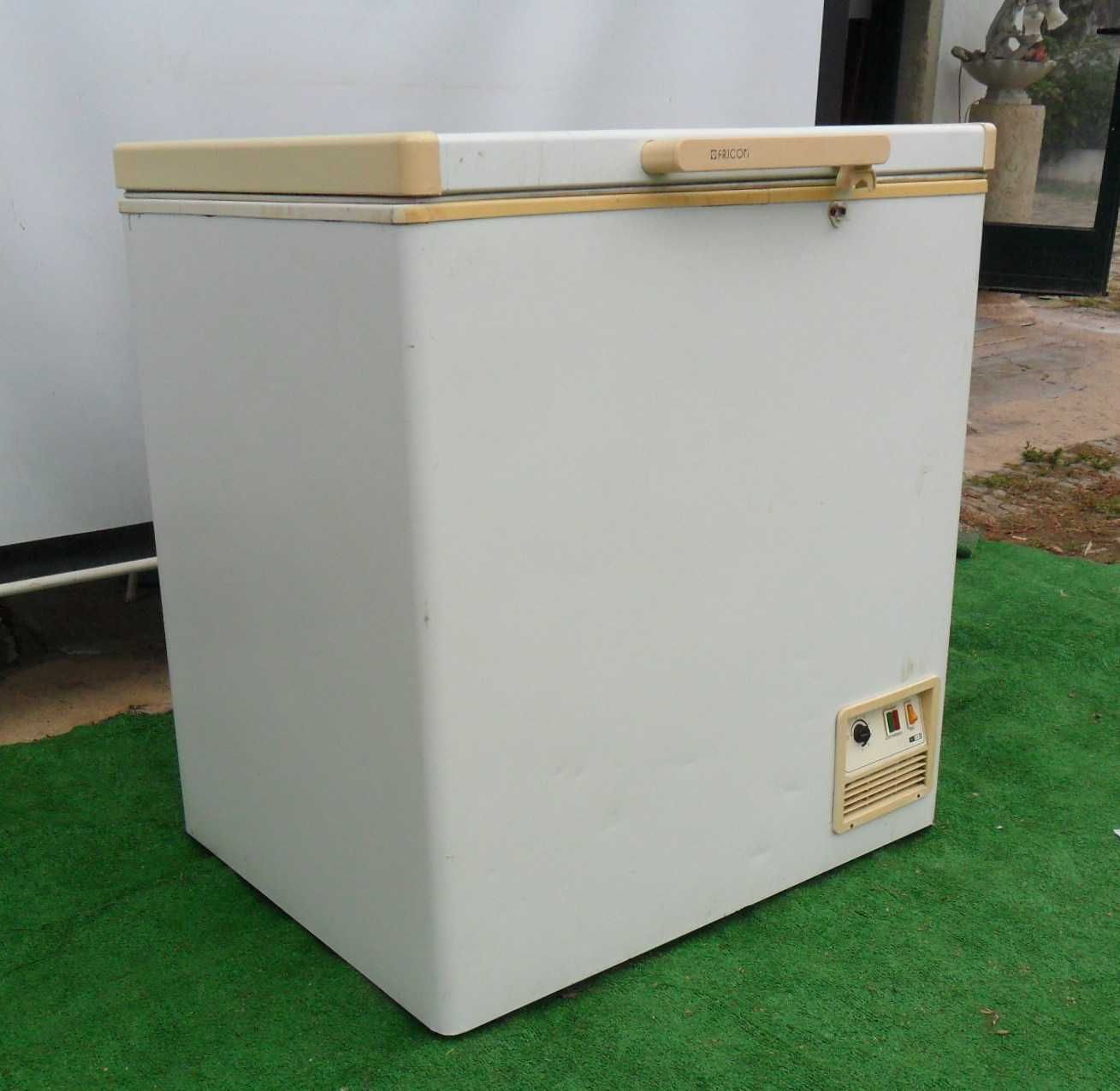 Arca congeladora FRICON