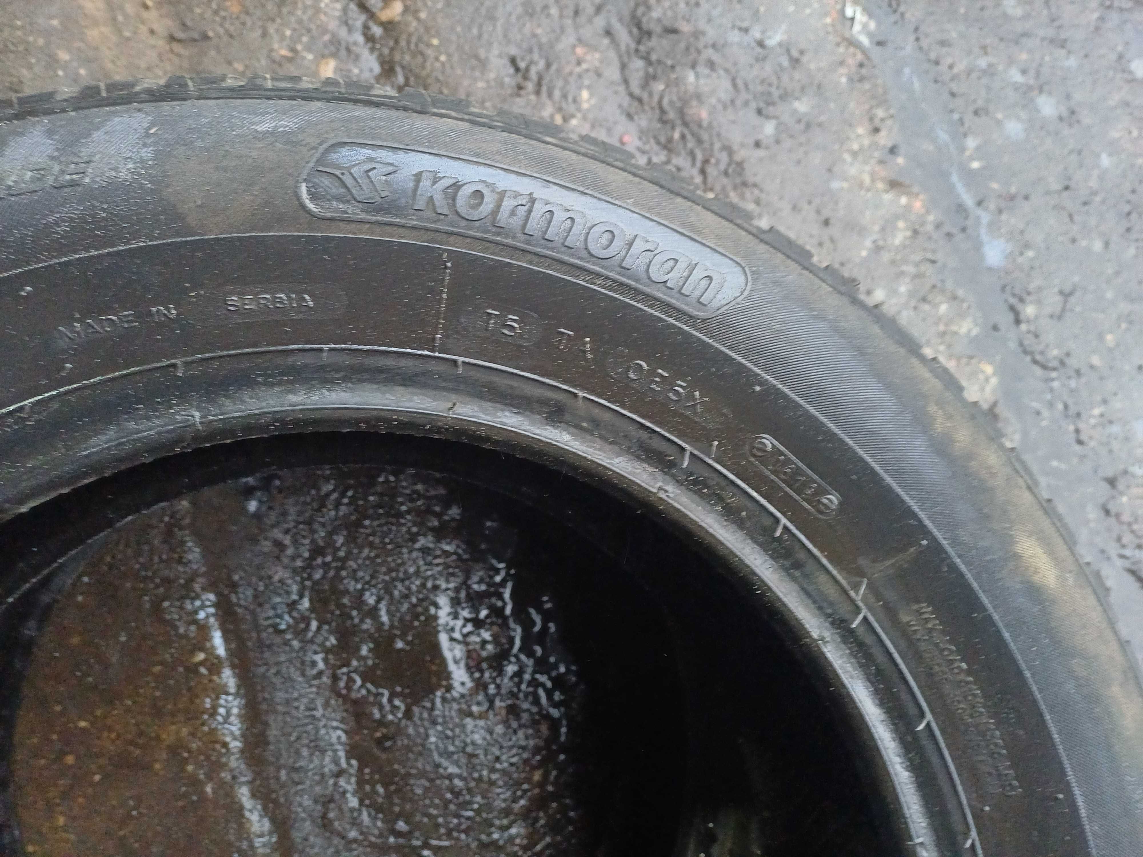 Kormoran Road Performance 195/65 R15 91V 2019r