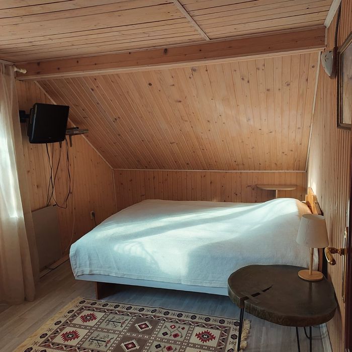 Котедж, будинок в Карпатах Татарів 2-6 осіб