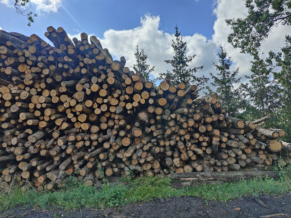 OPAŁ DĘBOWY 150 za 1mp   PELET DĘBOWY 1050zł  Promocja !!!