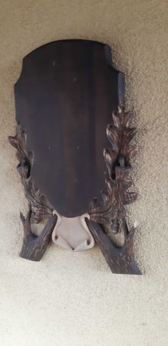 Deska pod trofeum byka