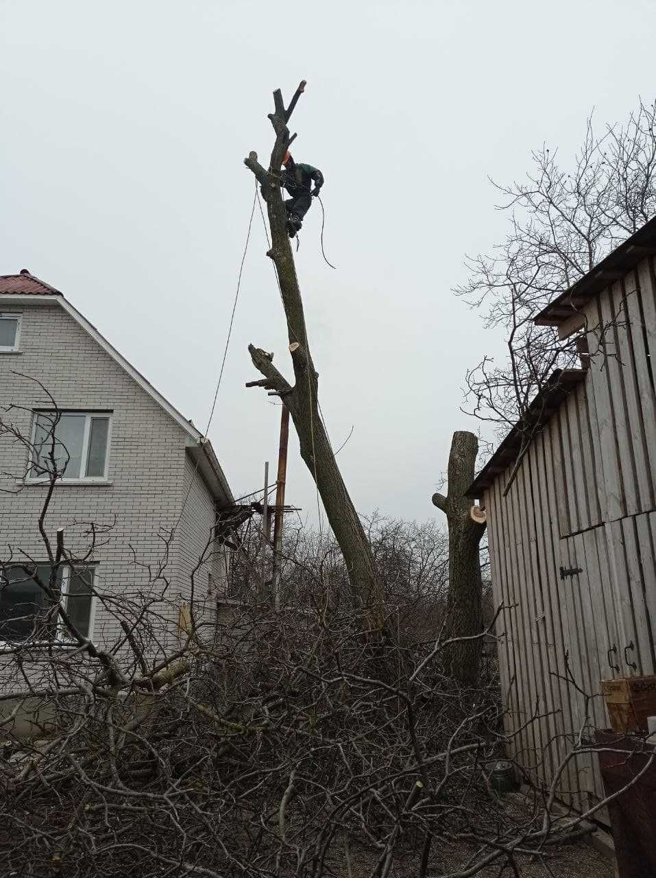 Зрізати, зрізання, видалення, срезать дерево. Розчистка ділянок.