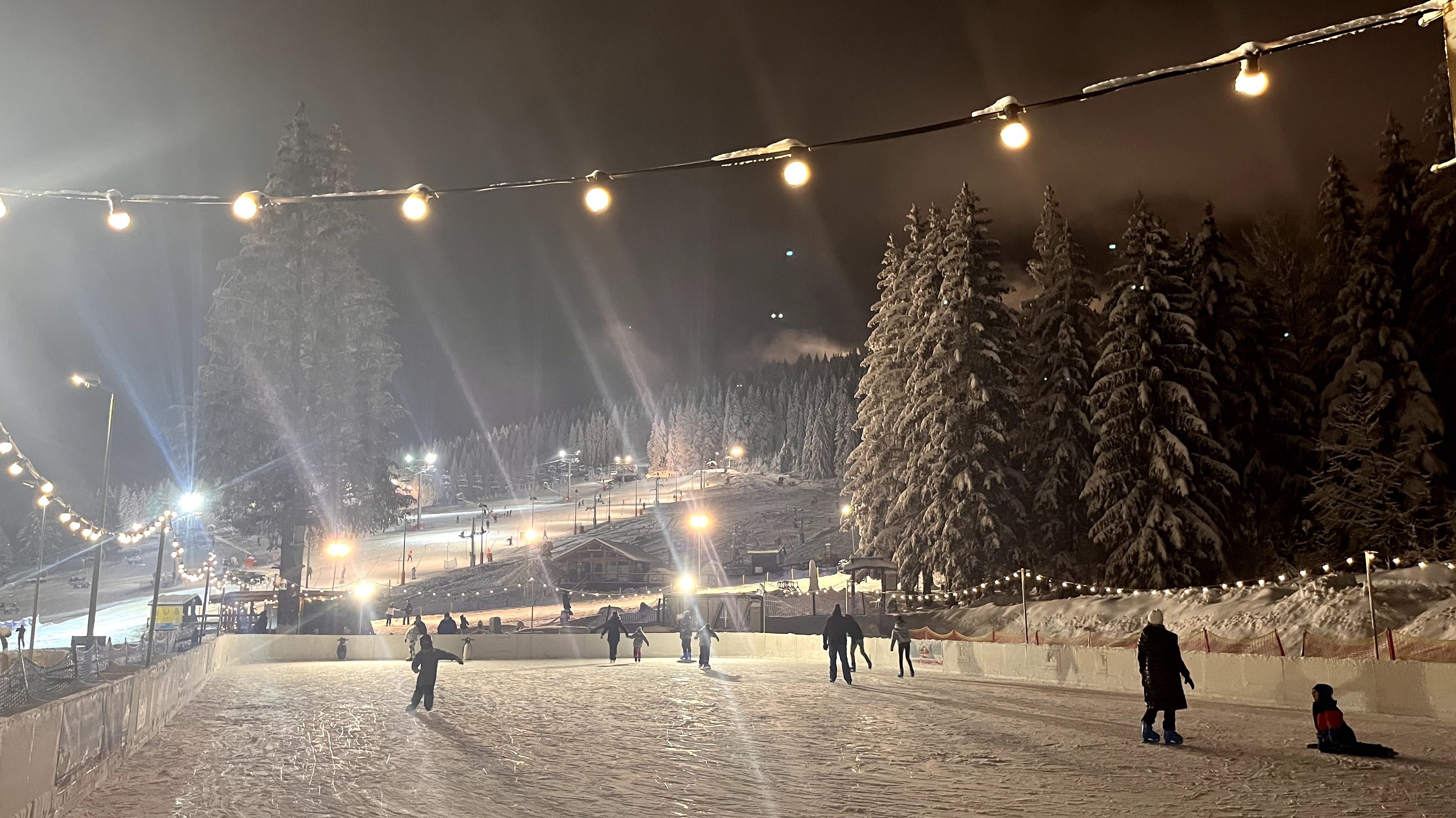 Lodowisko mobilne 20x40m + rolba WM Pinguino – KOMPLETNY ZESTAW!