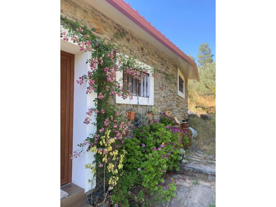 Quinta com 15000m2 de lote e casa com 88m2 recuperada em Benquerenças