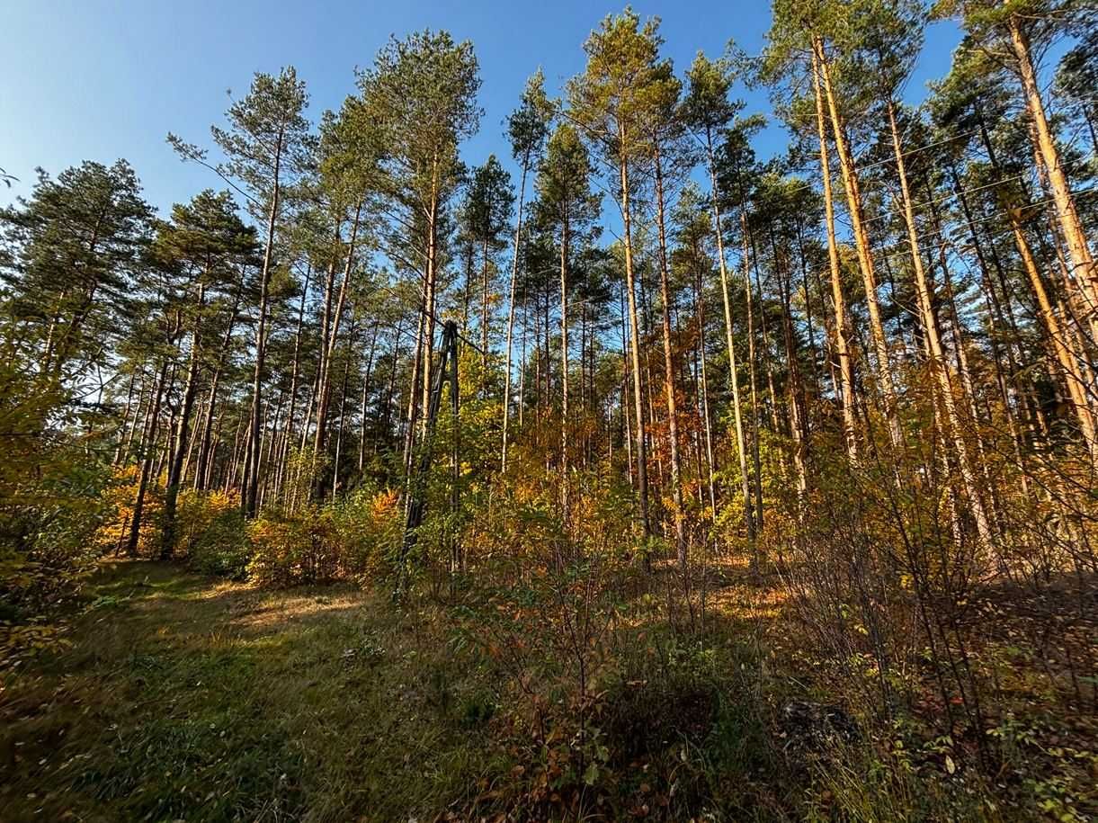 Duża działka leśna w miejscowości Błędnica, 9,7142 ha
