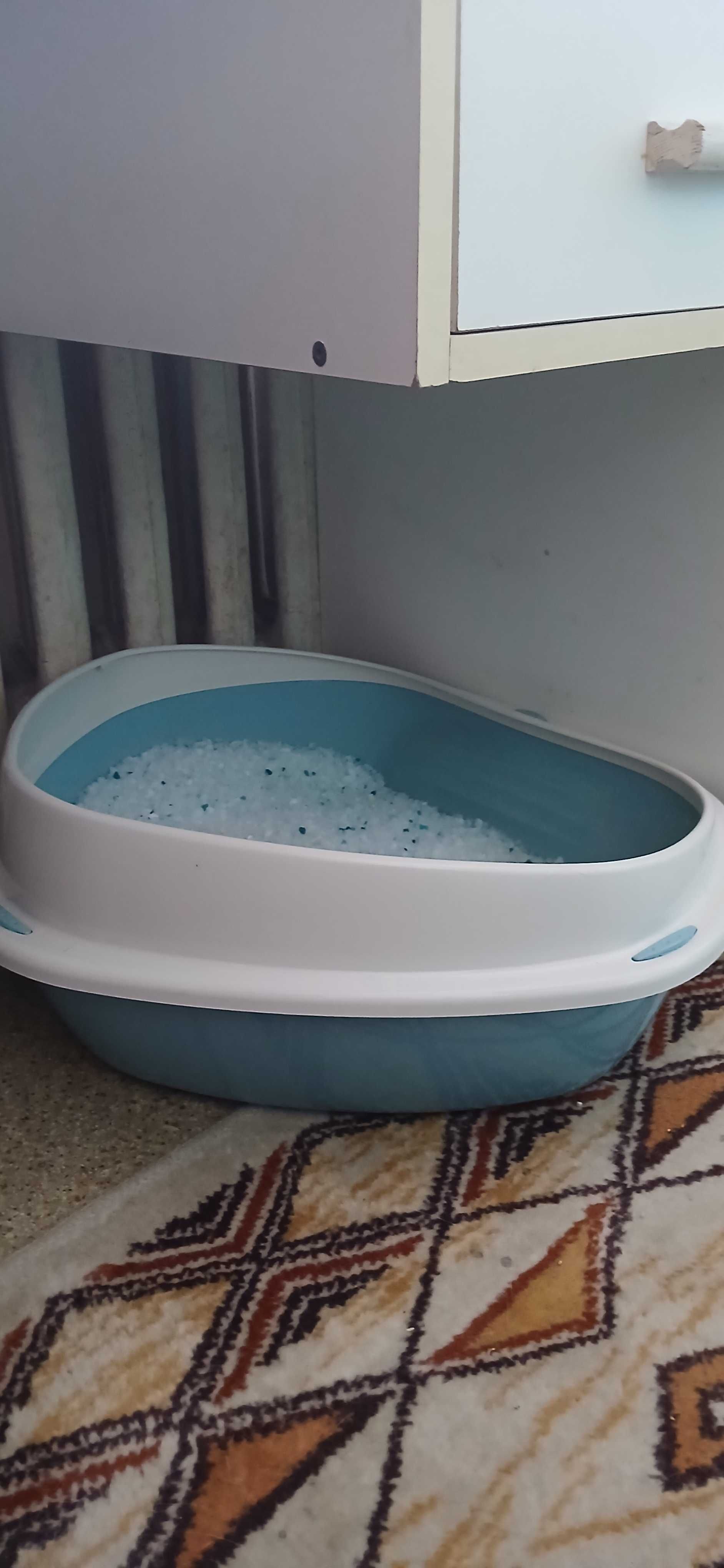 Kuweta i drapak dla kotka
