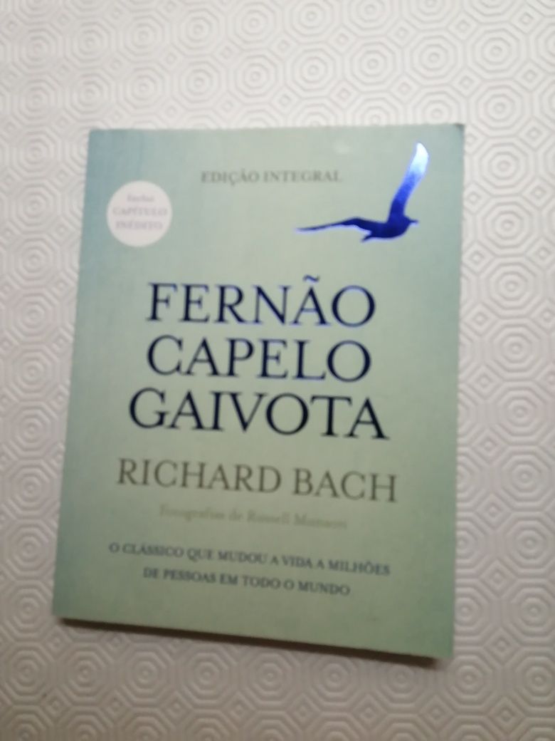 Fernão capelo gaivota