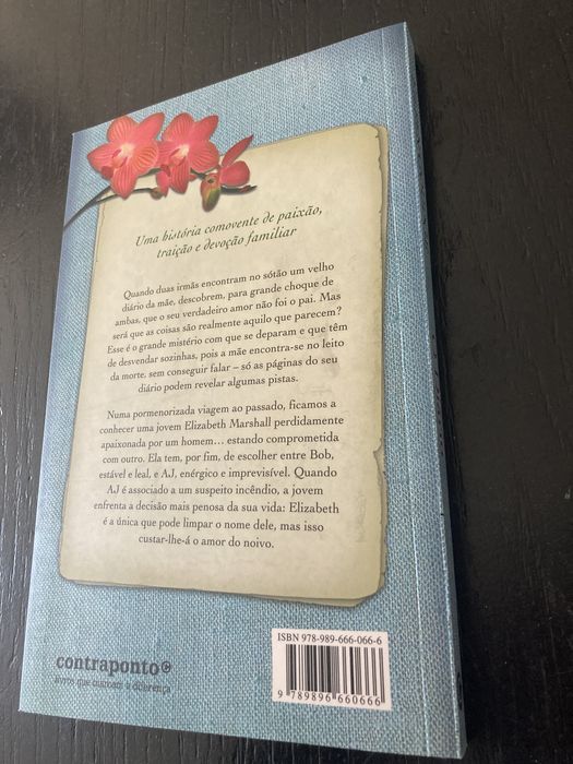 O Diário - Eileen Goudge