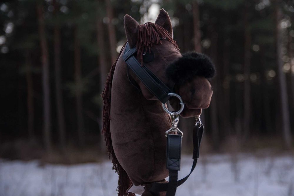 Hobby horse koń na kiju personalizacja realistyczny kht