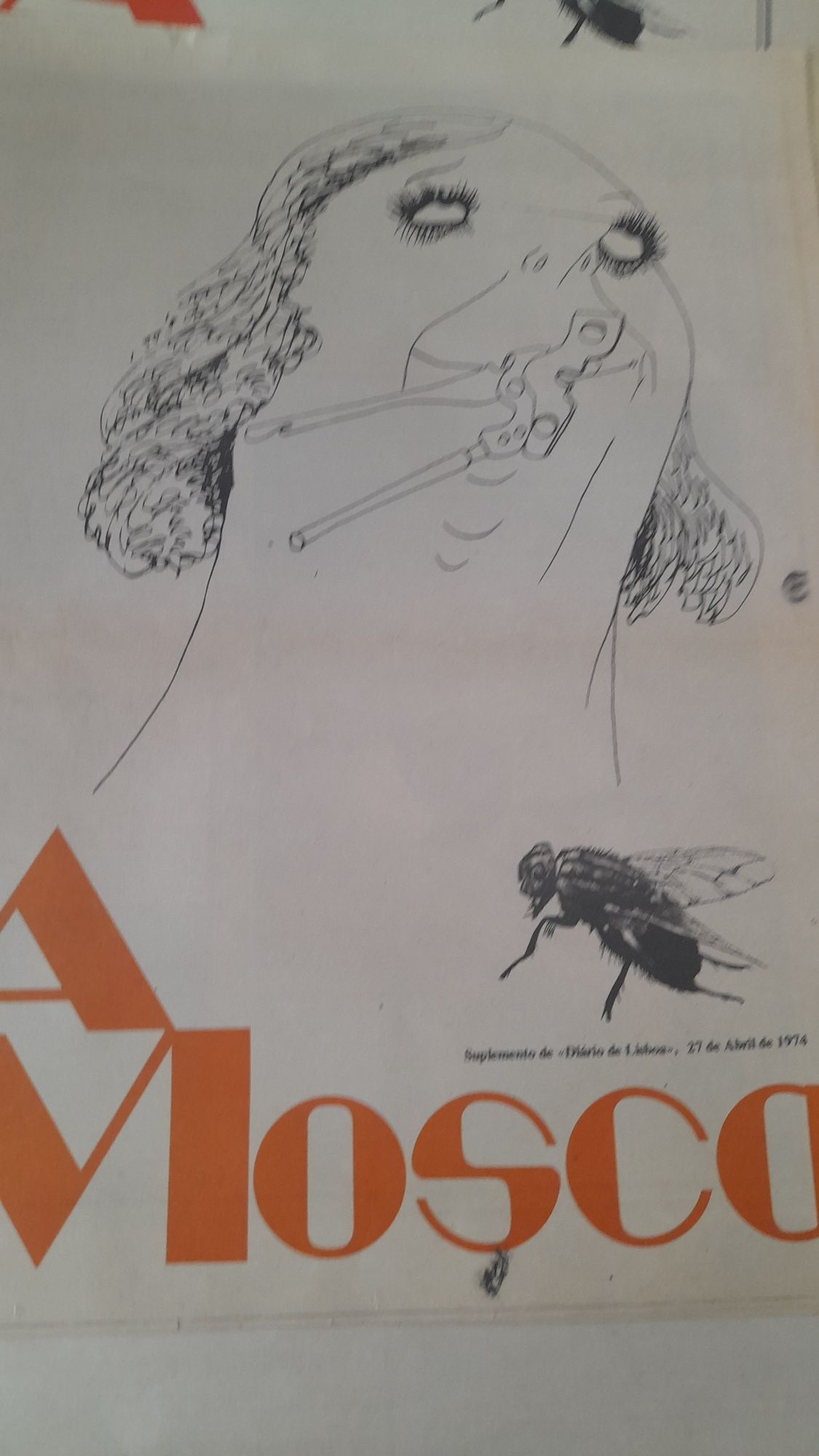 Jornais Antigos A Mosca ( Suplemento D.L.)