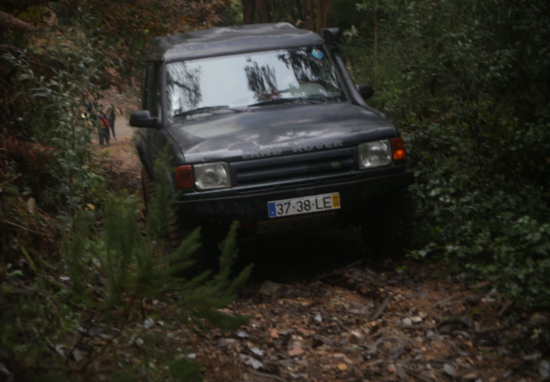 Land Rover Discovery 300 TGV