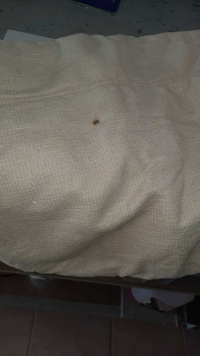 Poltrona Ikea Poäng com apoio de pés