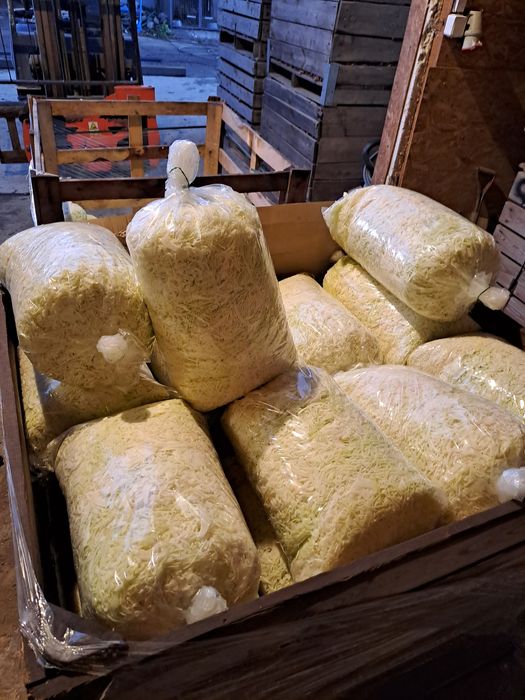 Kapusta szatkowana , świeżo pod zamówienie