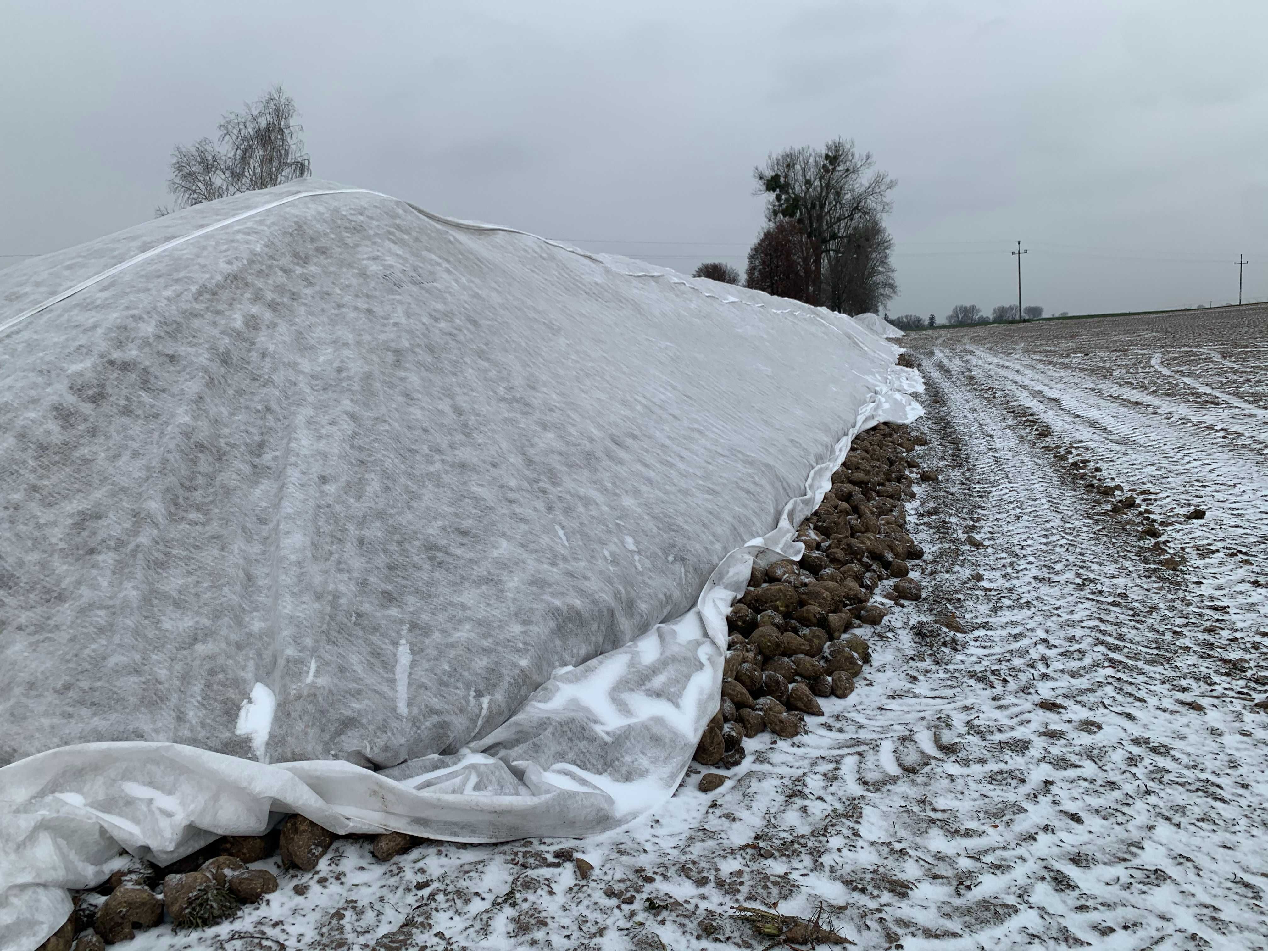 Agro włóknina na pryzmy buraczane, cebule 110g/m2 SZYTA 12,55 x 33m