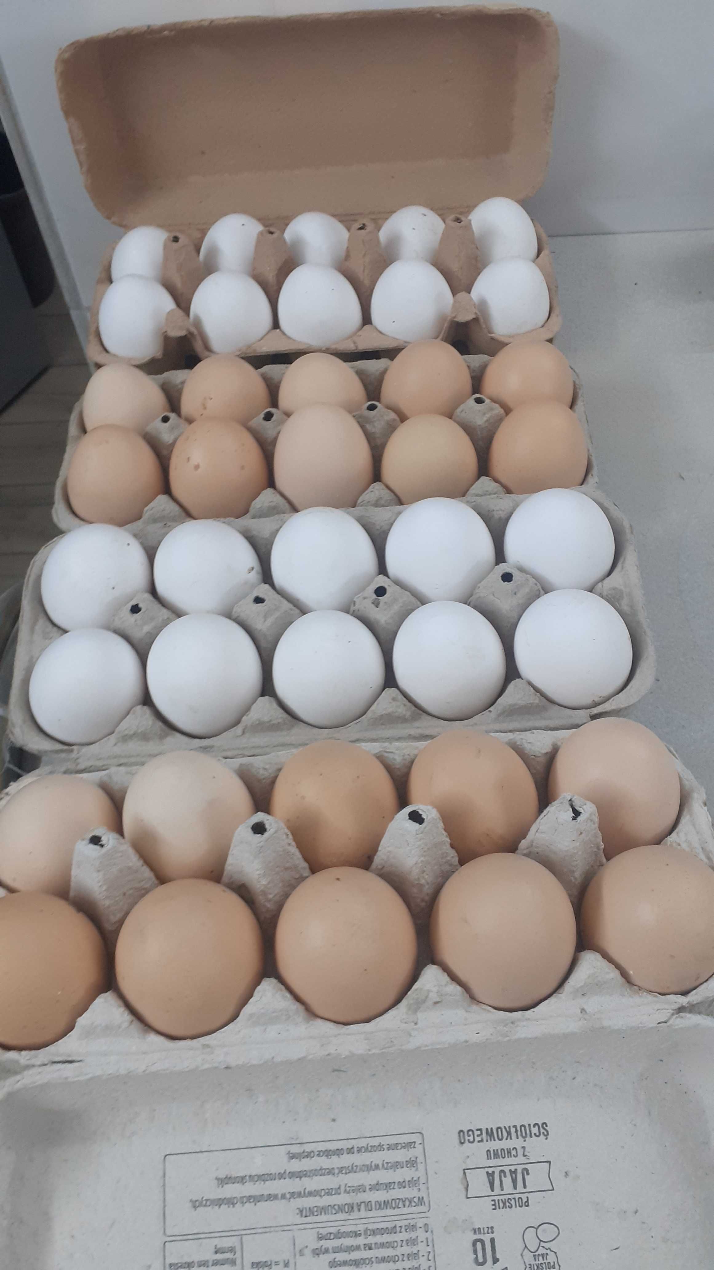 Jajka swojskie Zapraszam