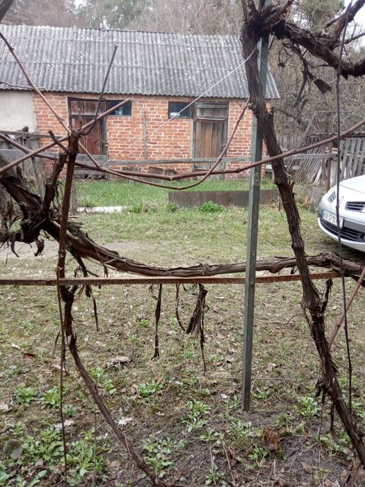 Продам дом Богодуховском районе