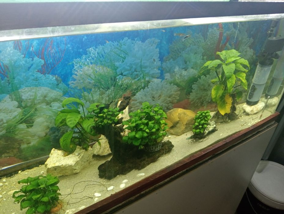 Aquário 120Litros