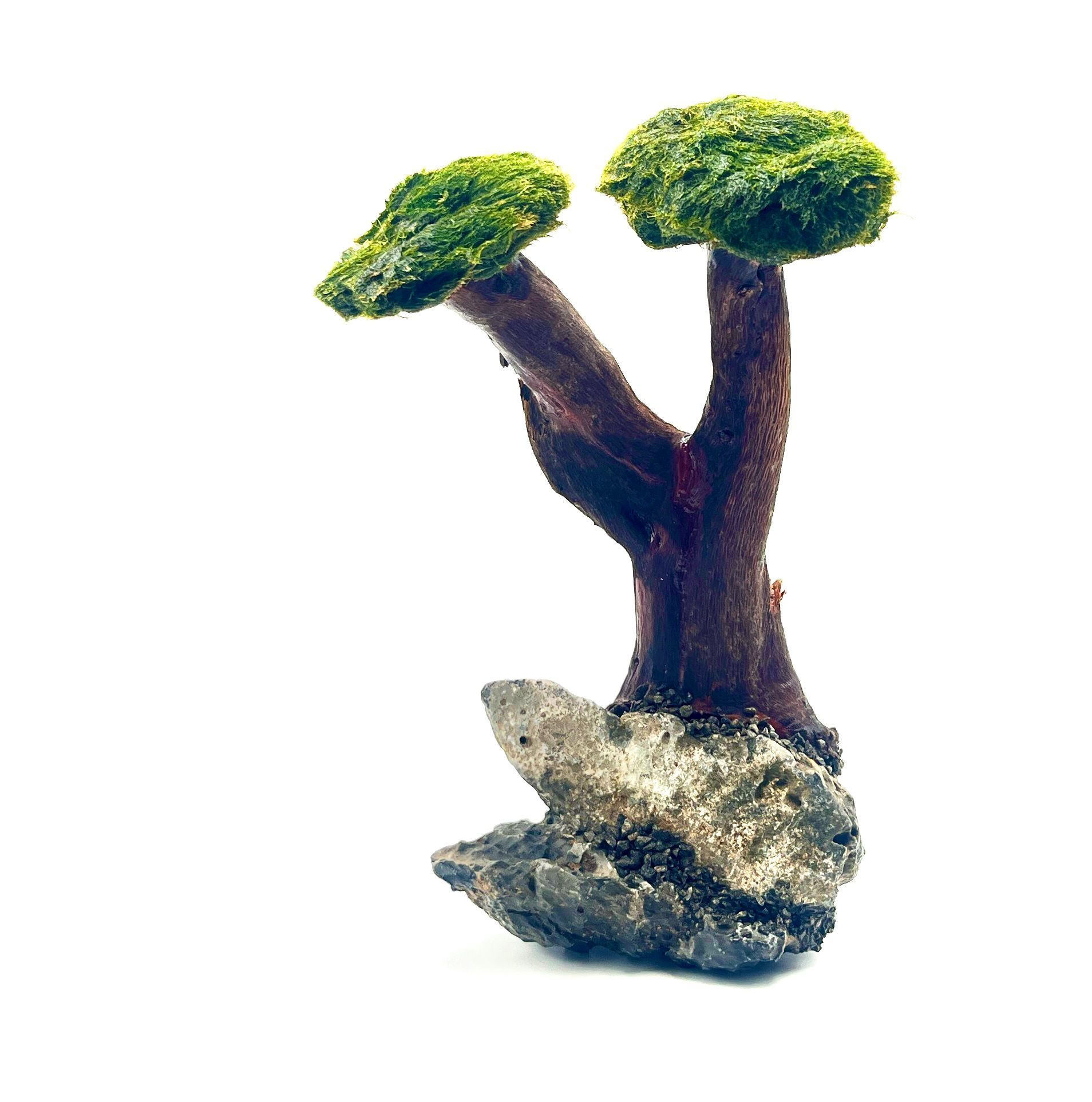 Piękna Ozdoba Aranżacja do Akwarium Drzewko Bonsai