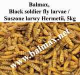 Balmax, Suszone larwy Hermetii / Black soldier fly larvae / 5kg.