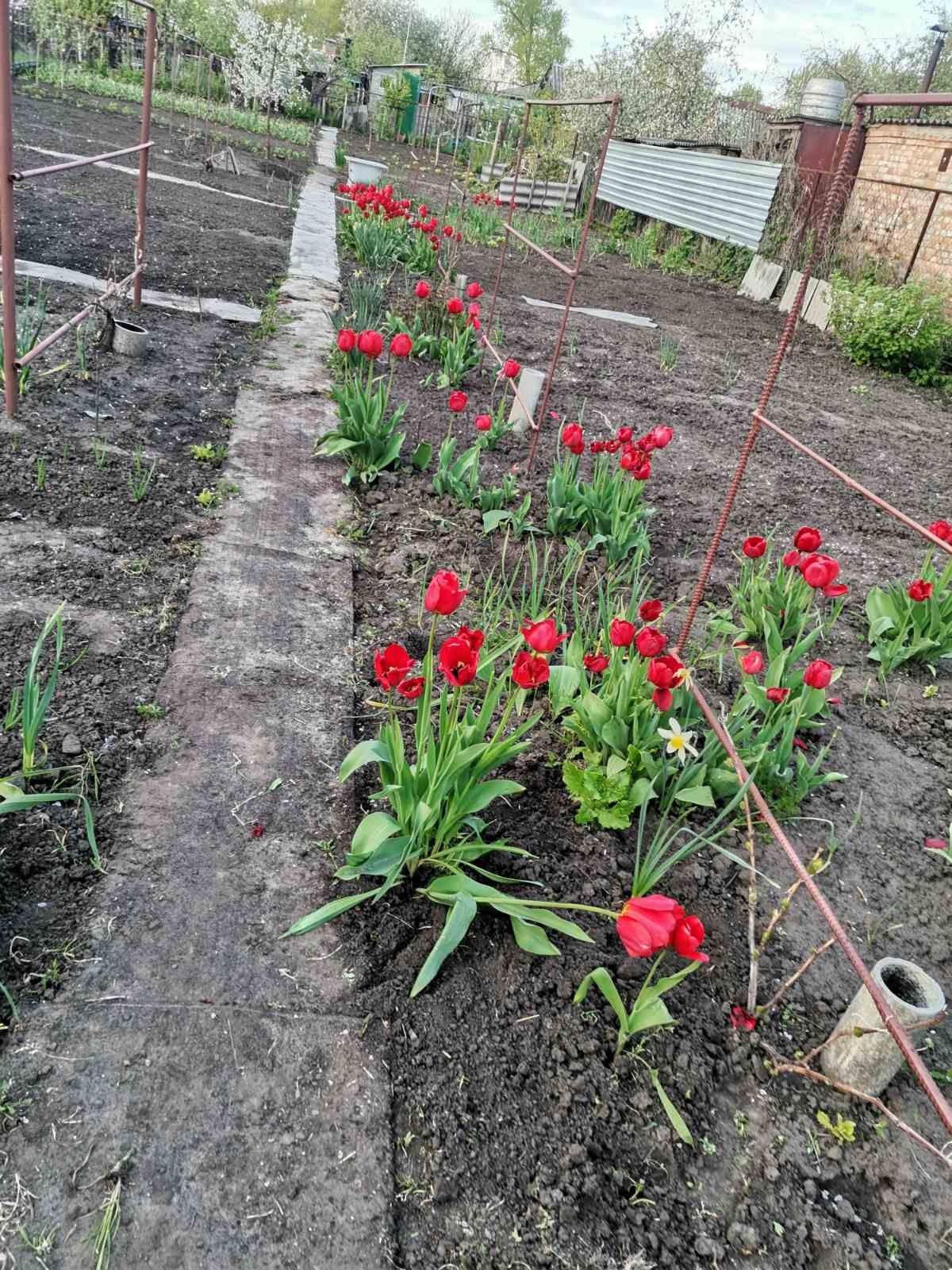 Продам дом в Кропивницком