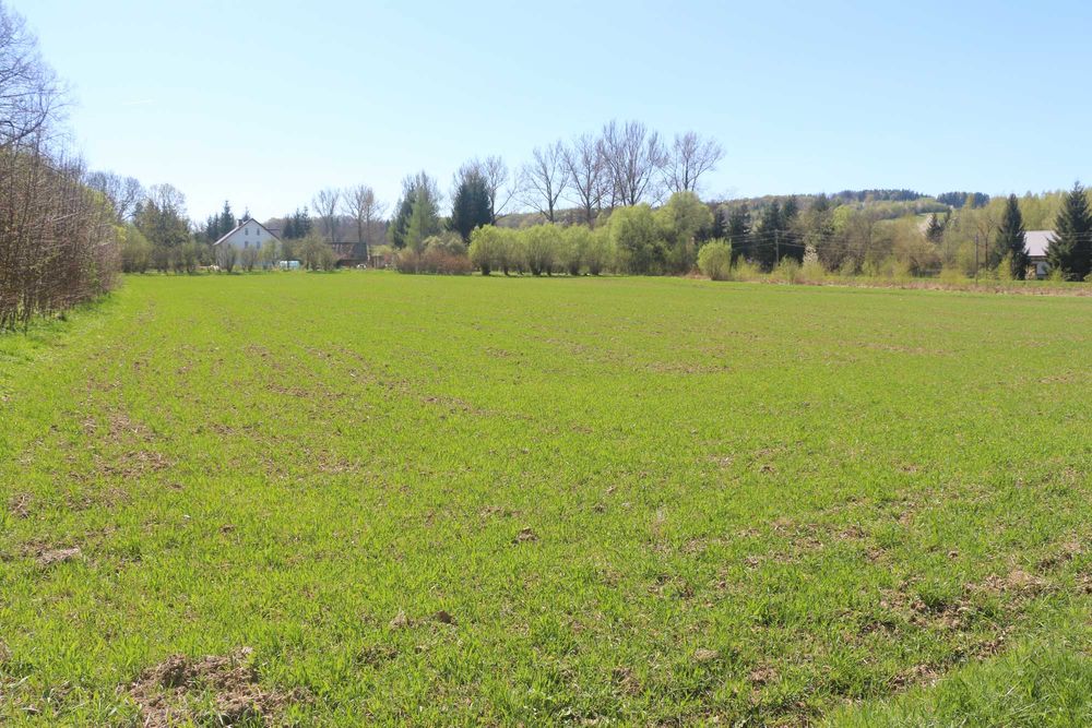 Kotlina Kłodzka ziemia rolna