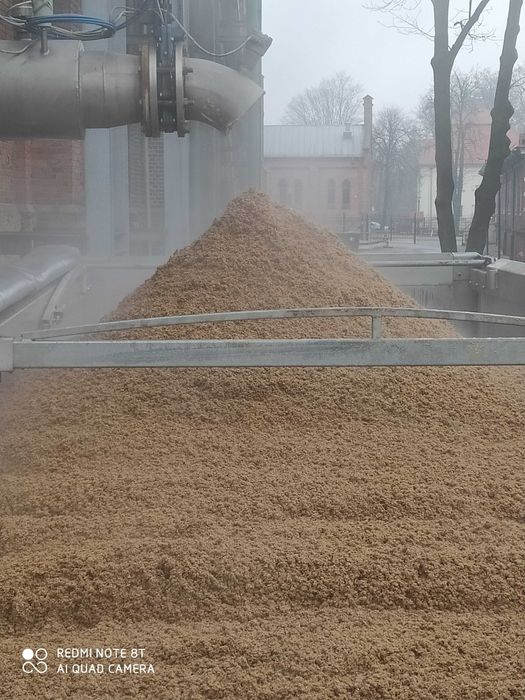 Młóto browarniane,