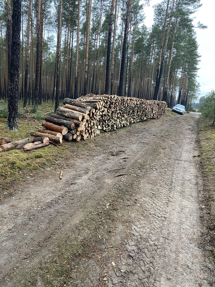 Sprzedam drewno opałowe