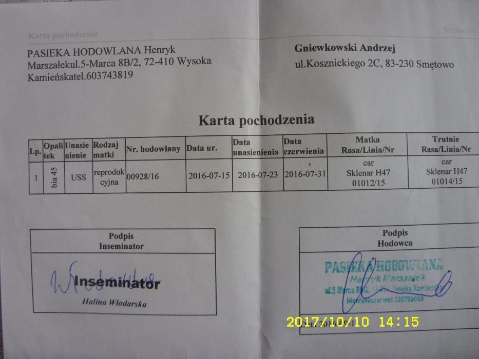 Ramka wielkopolska Odkłady pszczele 2025 ,od ręki matki  .Wysyłam!