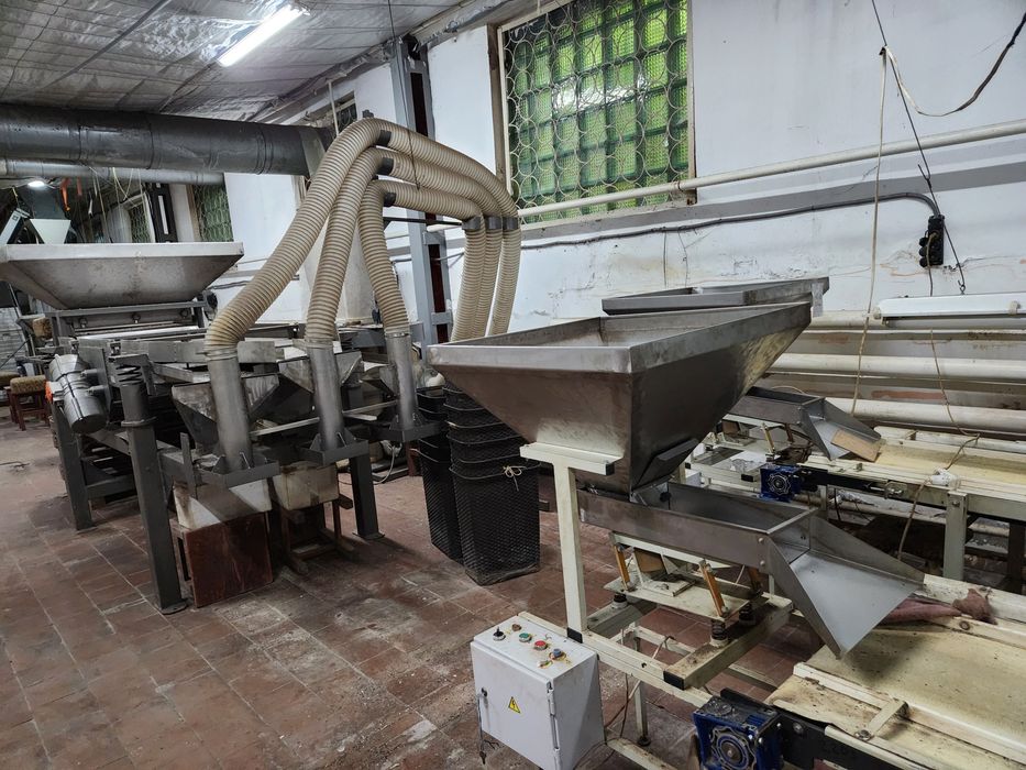 Лінія переробки волоського горіху