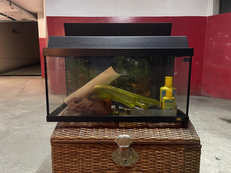 Aquario de 60 litros