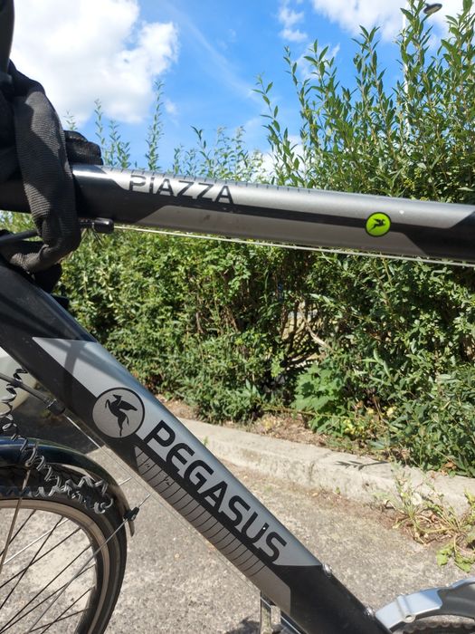 Rower Pegasus Piazza 28 cali
