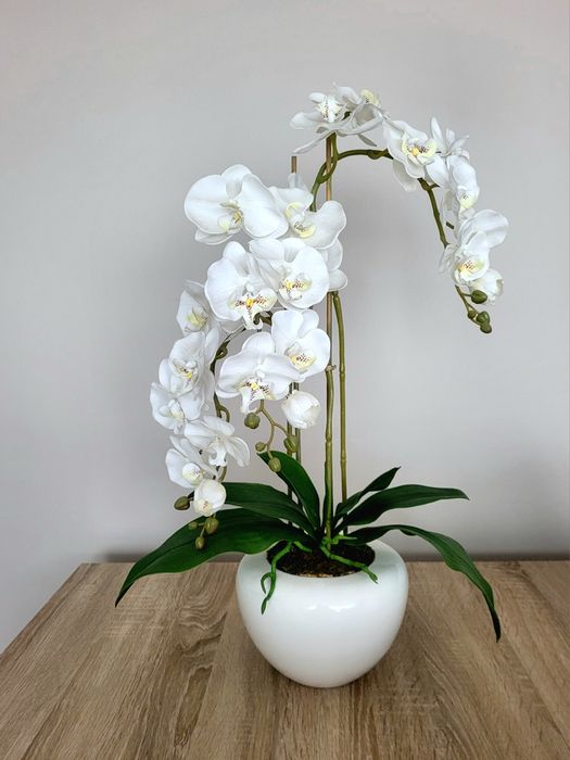 Sztuczny storczyk , orchidea