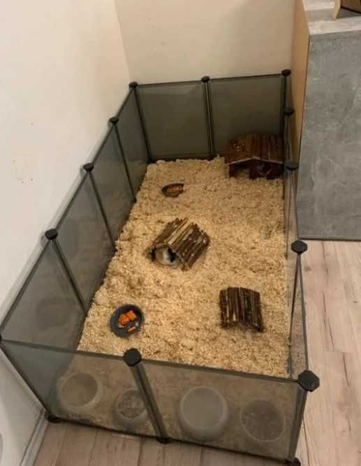 Klatka z podłogą dla małych zwierząt kojec zagroda wybieg dla królika