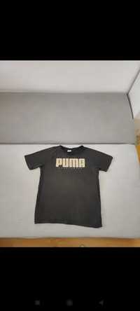 Koszulka Puma męska