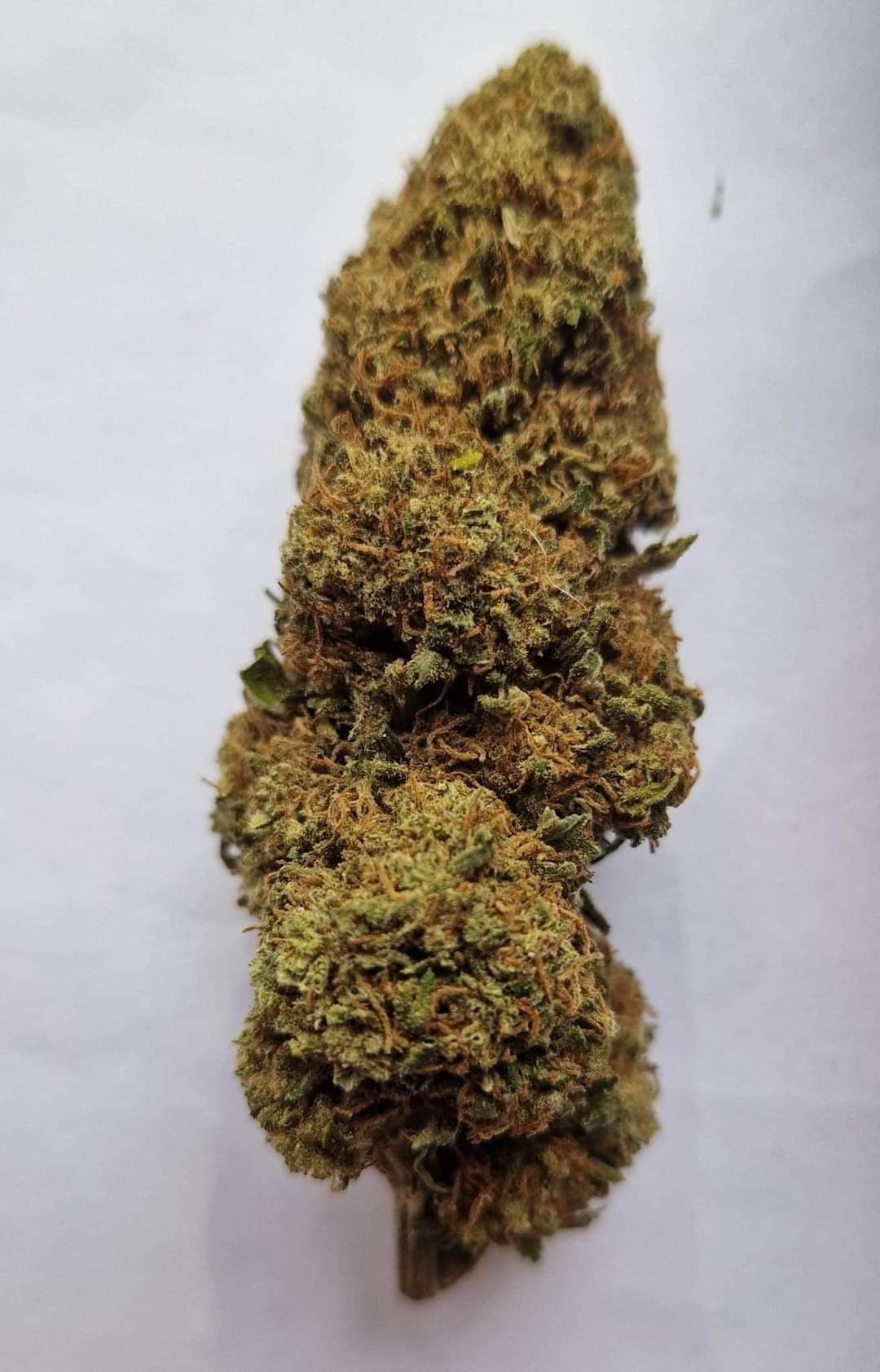 Lemon Haze Susz CBD premium 100 gram