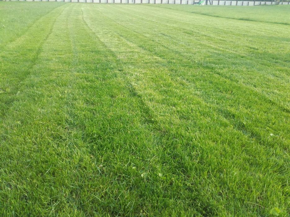 Zakładanie trawników. glebogryzarka separacyjną, Aeracja piaskowanie