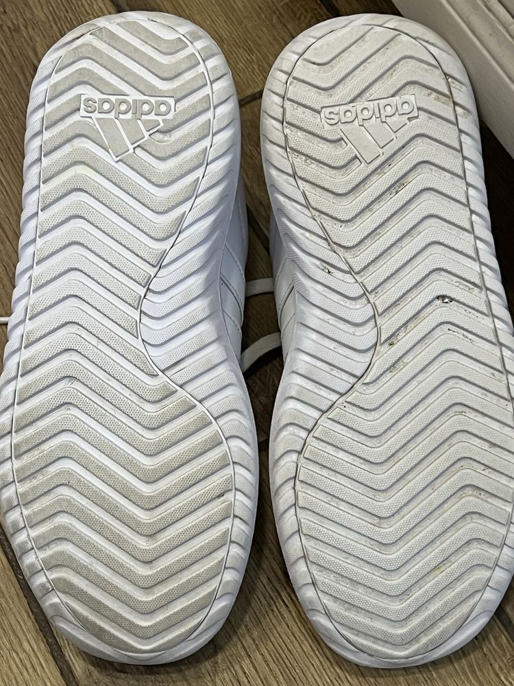 Кросівки жіночі Adidas