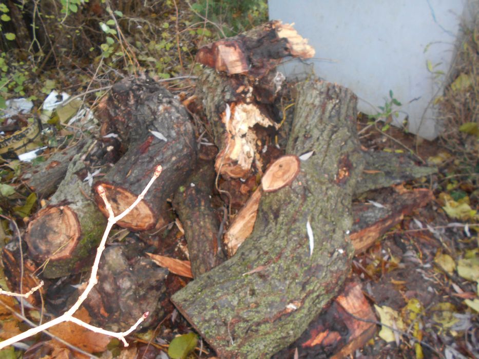 Sprzedam tanio drewno liściaste do kominka lub pieca