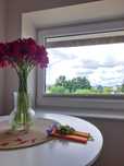 Apartamenty Wałowa 7 Rewa