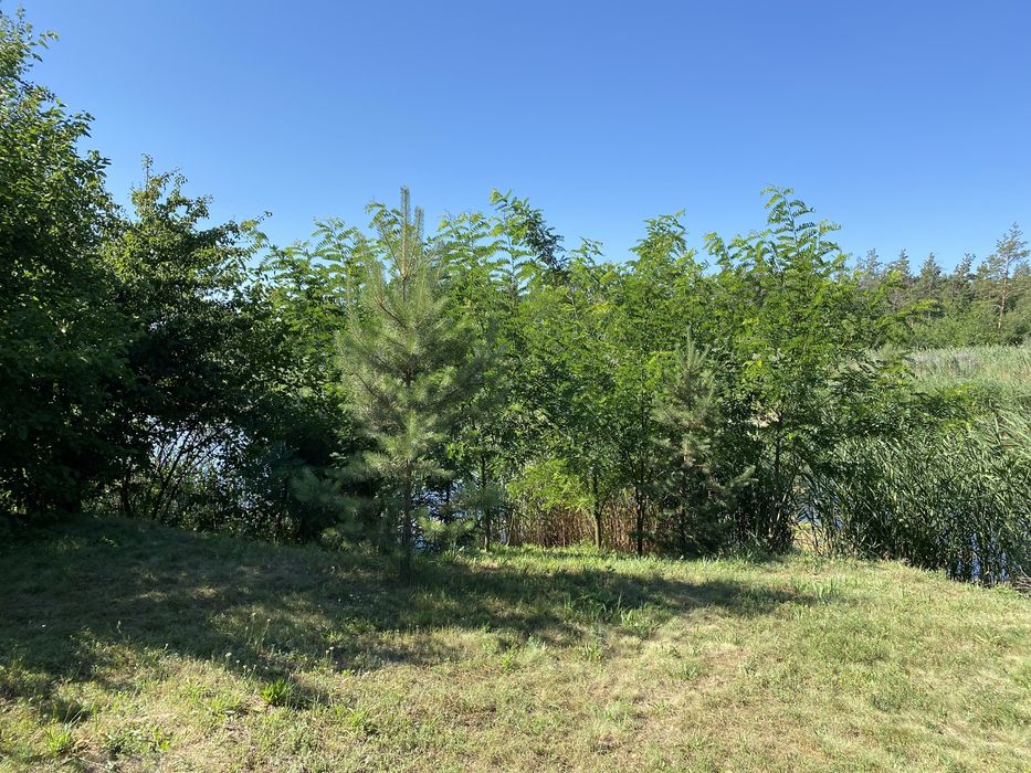 Продажа будинку в с. Орлівщина