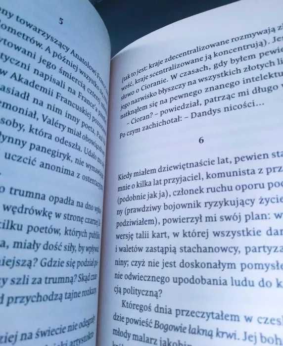 Książka Unikat Spotkanie autorstwa Milan Kundera BIAŁY KRUK + Gratis