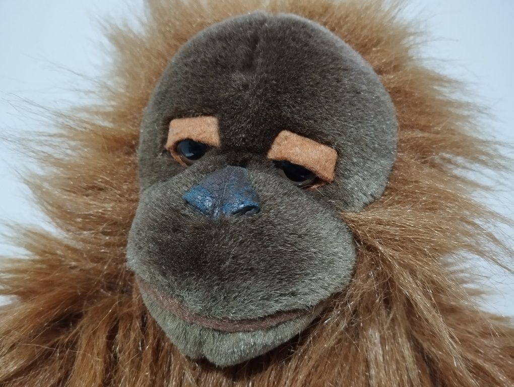 Maskotka małpa orangutan