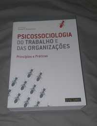 Psicossociologia do trabalho e das organizações princípios e práticas