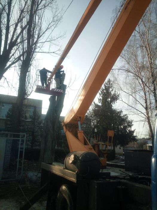 Обрезка деревьев