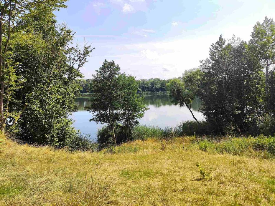 Działka przy linii brzegowej Jeziora Długiego, plaża, widok