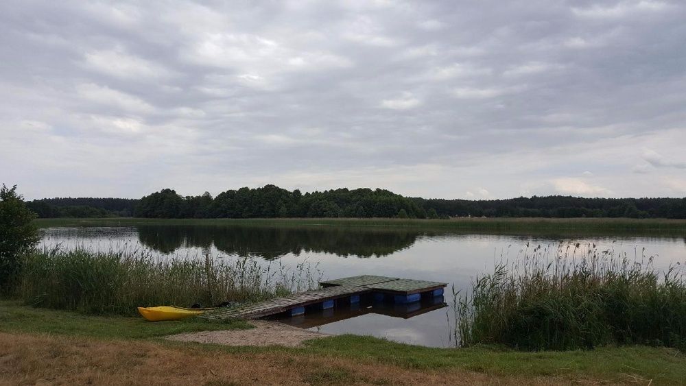 Wynajmę domek nad jeziorem