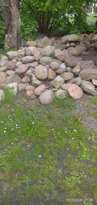 Kamień polny. Gruby