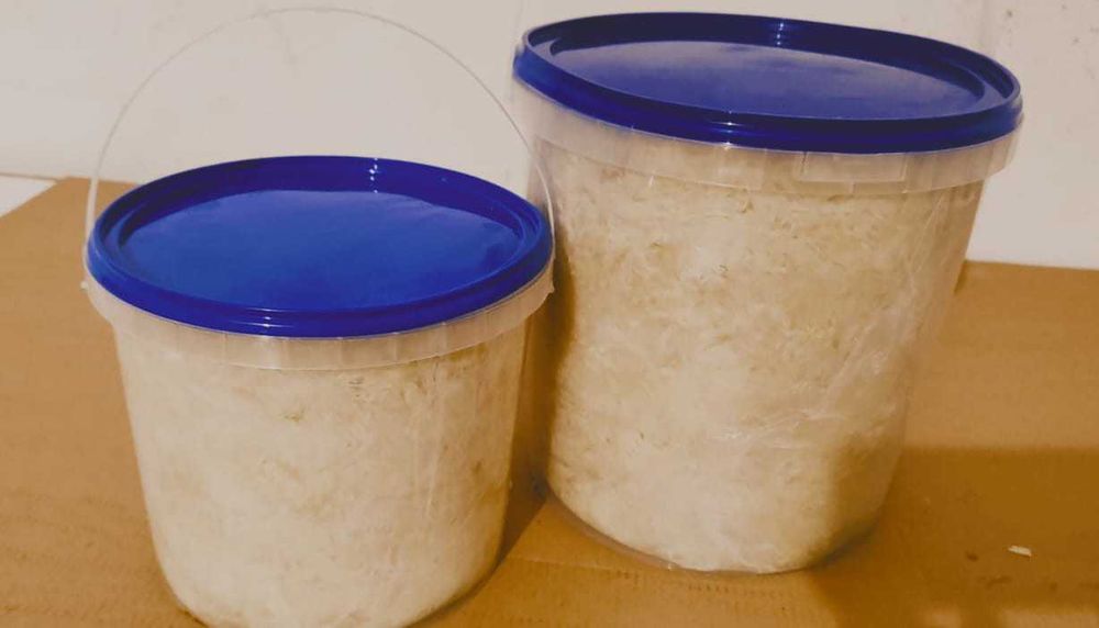 Kapusta kiszona z własnego gospodarstwa - Tuszyn