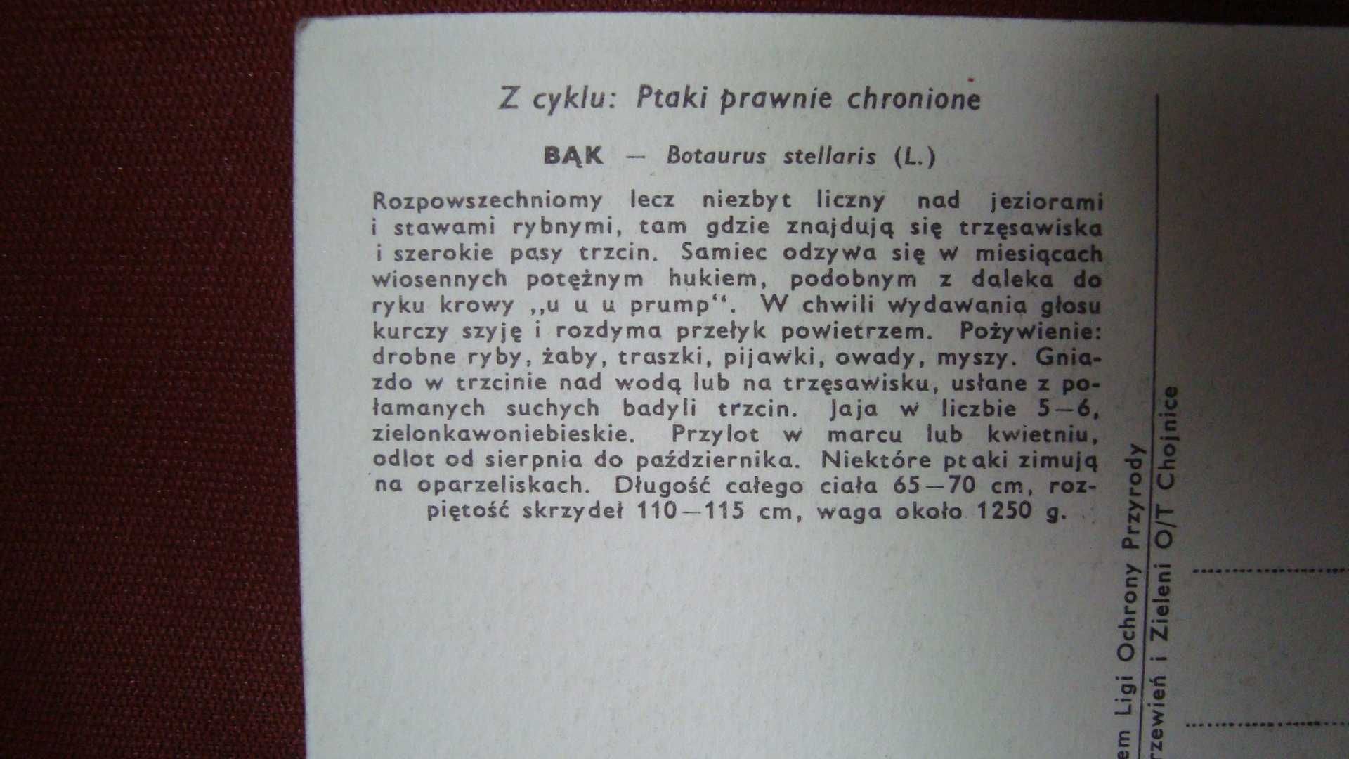 kartki pocztowe PRL-Ptaki Prawnie Chronione-rysunki Władysław Siwek