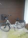 Rower holenderski